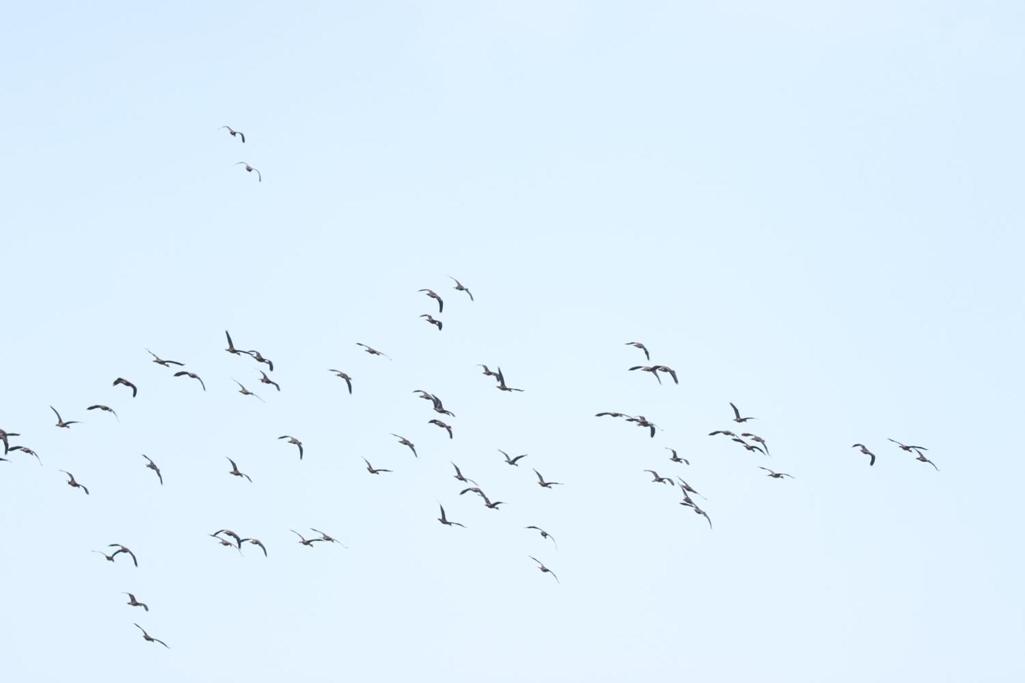Three Little Birds Ξενοδοχείο Tangalle Εξωτερικό φωτογραφία