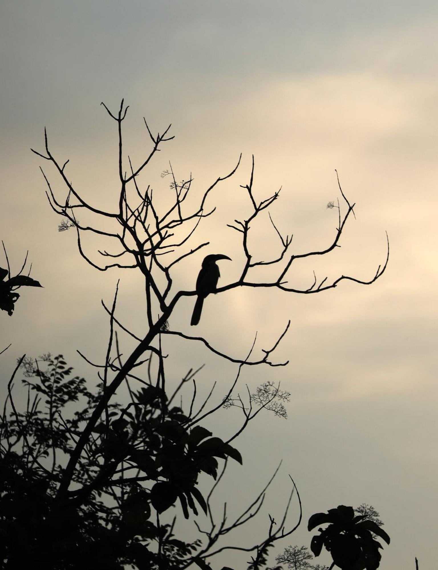 Three Little Birds Ξενοδοχείο Tangalle Εξωτερικό φωτογραφία